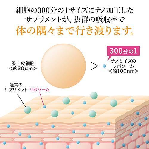 リポビットGSH LipoVit GSH リポソーム グルタチオン アミノ酸 サプリ
