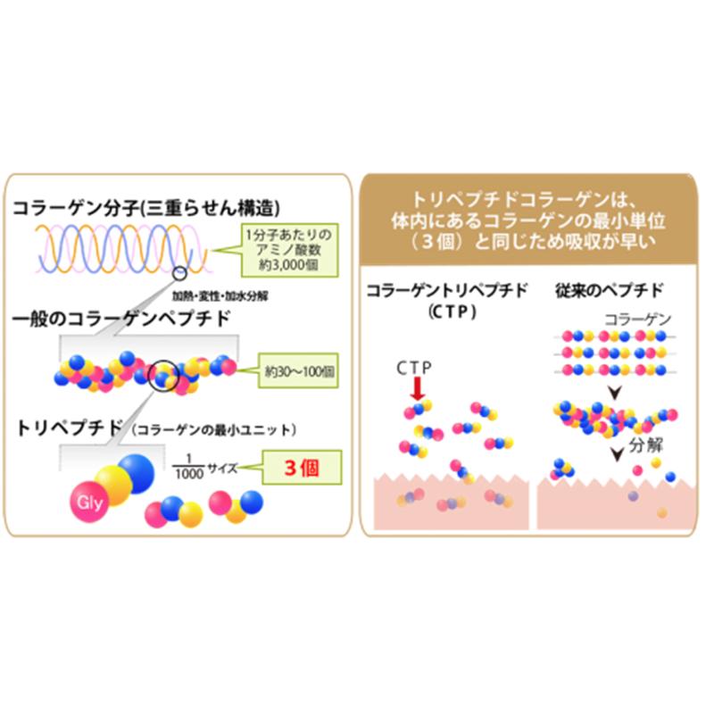 フォーデイズ ムーサ エッセンス ドリンク ステムブライト 50ml フォーデイズ ムーサ エッセンス ドリンク ステムブライト 50ml