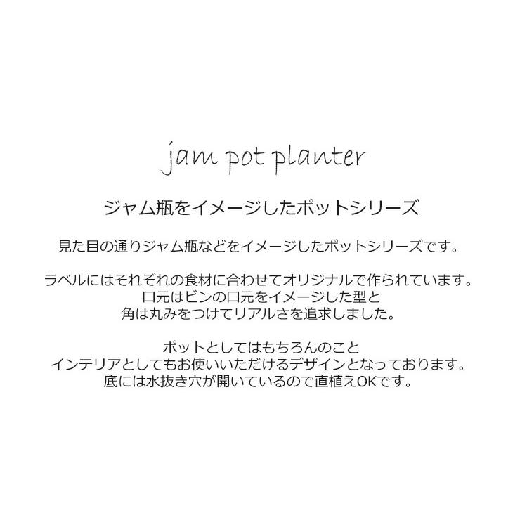 陶製 プランター ジャム・ポット （ジャム瓶をイメージしたポット