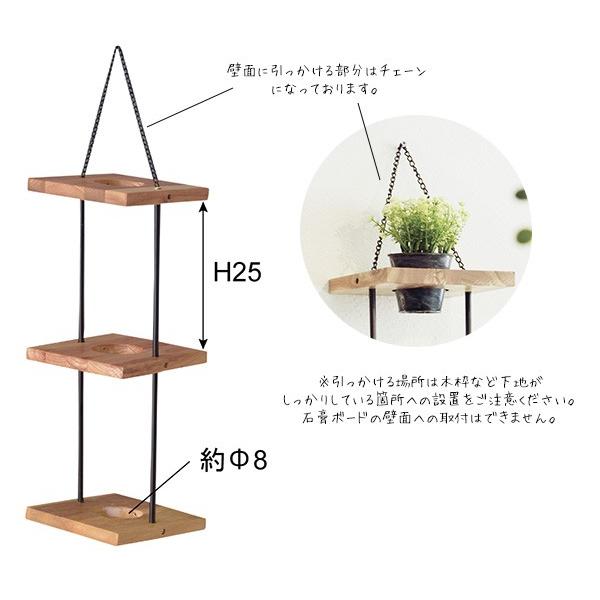 ハンキングプランター 壁掛け用 3段インテリア 置物 壁面 アジンジ