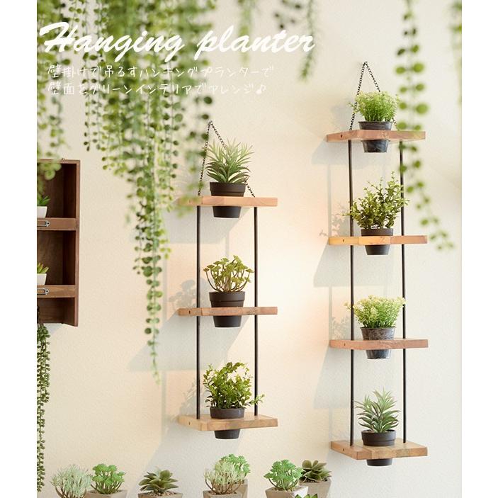 1012terra Hanging Argyle 壁掛け フラワーベース ハンキングプランター 壁掛け用 5段インテリア 置物 壁面 アジンジ