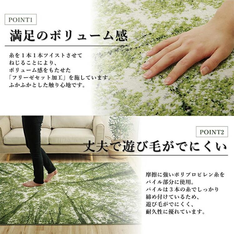 イケヒコ ウィルトン カーペット 160cm丸 円形ラグ （ガイア・エデン