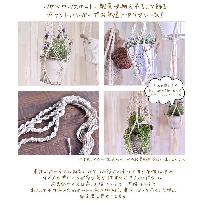 プラントハンガー （2段タイプ） 150cm エアープランツや多肉植物
