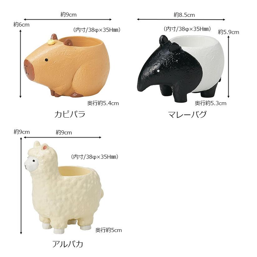 1寸用 プランター リトルレジンポット 珍獣シリーズ : SORACIEL