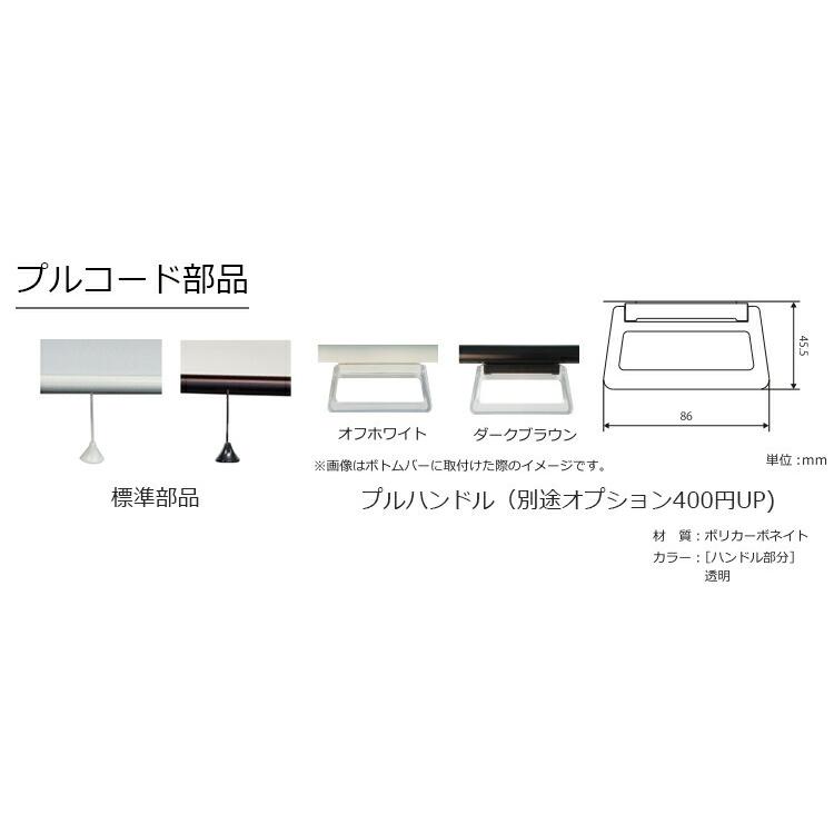 立川機工 ロールスクリーン ヒラリエ 3色 シースルー （幅25〜200cm 高