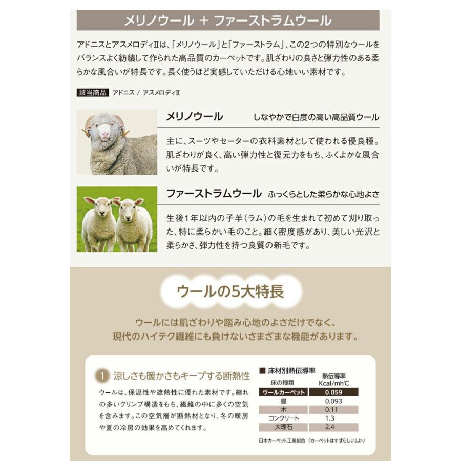 アスメロディII （ヨコ）221〜240cm（タテ）321〜340cm メリノウール 遮音 ループパイル 寝室 ウール 防炎 防虫 遮音 防音 【CASAVANI】 抗菌 防ダニ