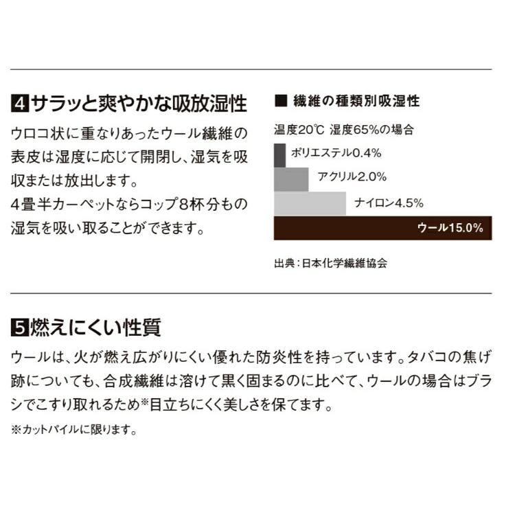ウールカーペット ニューアスポーター （ヨコ）321〜340cm（タテ）381〜400cm ループパイル 子供部屋 ファミリー リビング 防炎 アスワン オーダーカーペット_4