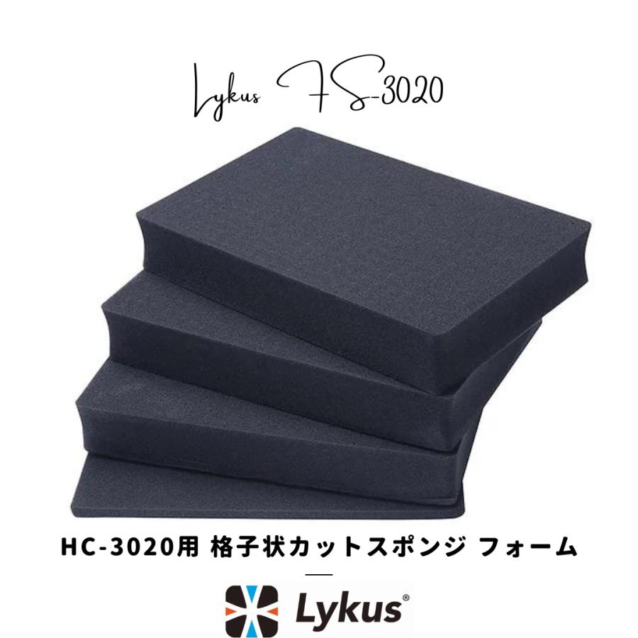 Lykus HC-3020 交換用 格子状カットスポンジ インナフォーム予備