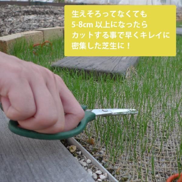 スターターセット ぴたっと貼るだけ 西洋芝シート 1ｍ 1ｍ 床土16lx2袋セット まくだけで芝生の根はりを良くする オリジナル使用マニュアル付 set ソラニワ 通販 Yahoo ショッピング