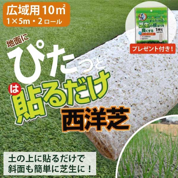 ぴたっと貼るだけ 西洋芝シート ロールタイプ 10平方メートル まくだけで芝生の