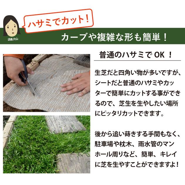 ぴたっと貼るだけ！西洋芝シート ロールタイプ（10平方m）＋まくだけで