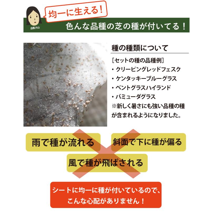 ぴたっと貼るだけ！西洋芝シート ロールタイプ（10平方m）＋まくだけで