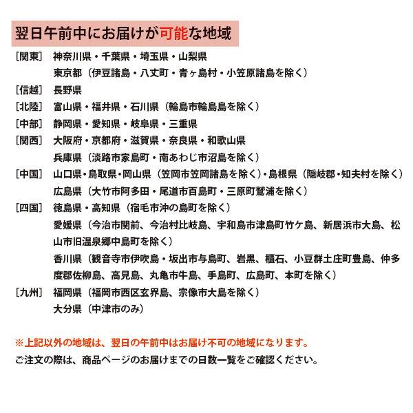 グランドカバー 苗 グレコマ バリエガータ 24個 セット 3寸 3号 9cmポット ケース販売 おすすめ品種 全国どこでも送料無料 ソラニワ 通販 Yahoo ショッピング
