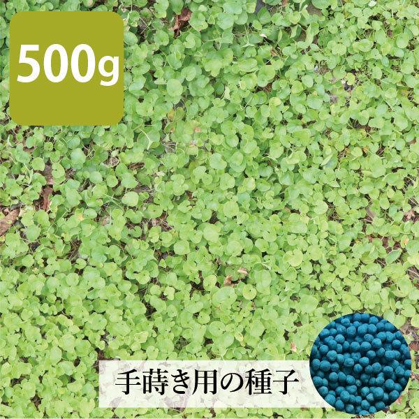 お洒落なグランドカバー 種 ダイカンドラ 500g 追い蒔き用 強い植物 手間いらず ダイコンドラ 多年草 常緑 Dakandora Tane ソラニワ 通販 Yahoo ショッピング