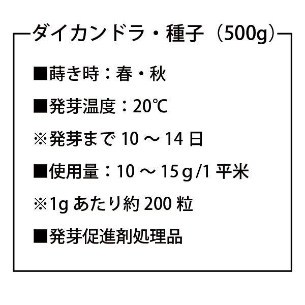 お洒落なグランドカバー 種 [ダイカンドラ・] 500g 追い蒔き用 強い