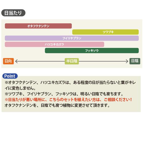 ローメンテナンス・ガーデンセット お世話があまり必要ない品種を集めました！ 9-12cmポット苗 5品種 21個セット[IO]の画像