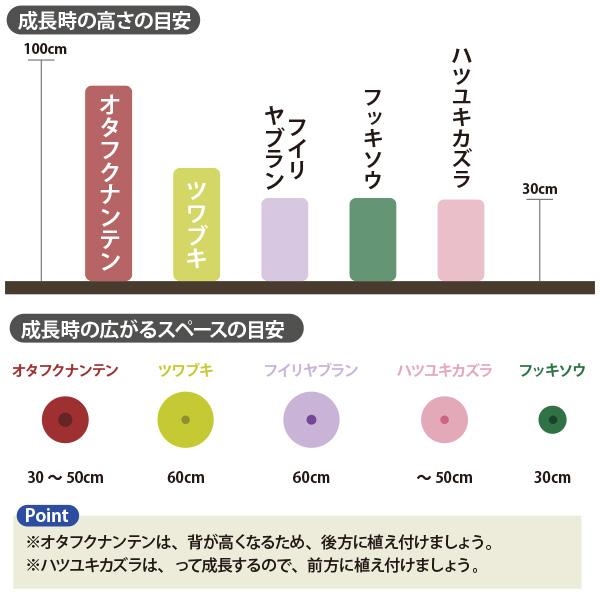ローメンテナンス・ガーデンセット お世話があまり必要ない品種を集めました！ 9-12cmポット苗 5品種 21個セット[IO]の画像