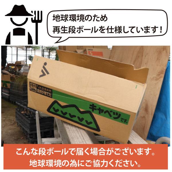 ローメンテナンス・ガーデンセット お世話があまり必要ない品種を集めました！ 9-12cmポット苗 5品種 21個セット[IO]の画像