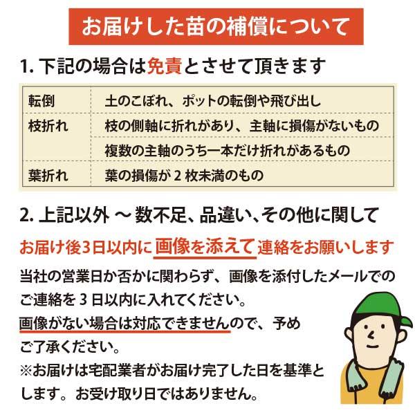 ローメンテナンス・ガーデンセット お世話があまり必要ない品種を集めました！ 9-12cmポット苗 5品種 21個セット[IO]の画像