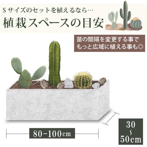 サボテンで造るロックガーデンセット 3品種 ［Sサイズ］ プランター 地