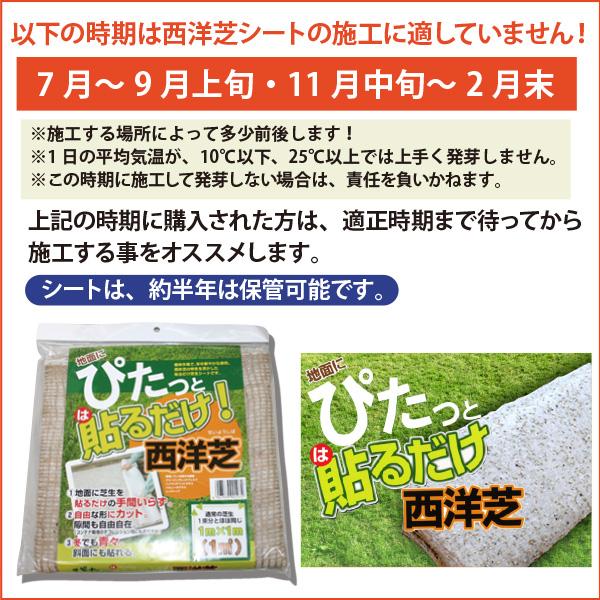 安く天然芝にしたいなら！ぴたっと貼るだけ！西洋芝シート（1m×1m 