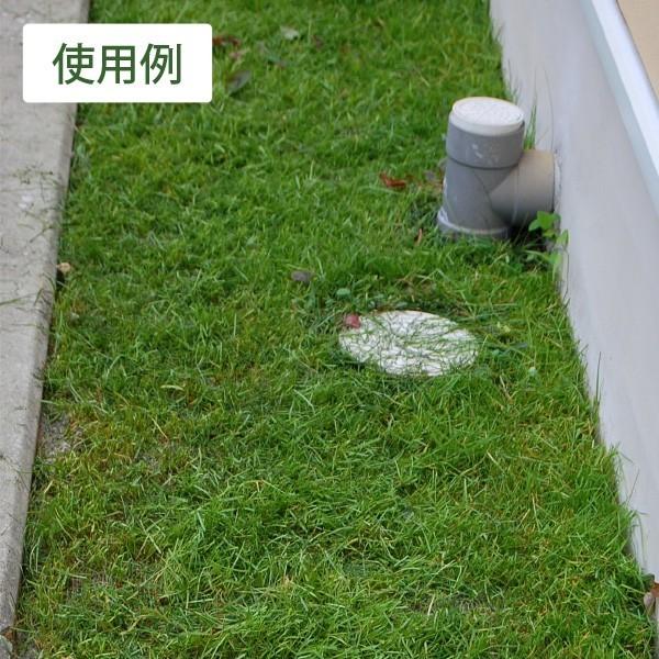 安く天然芝にしたいなら！ぴたっと貼るだけ！西洋芝シート（1m×1m 