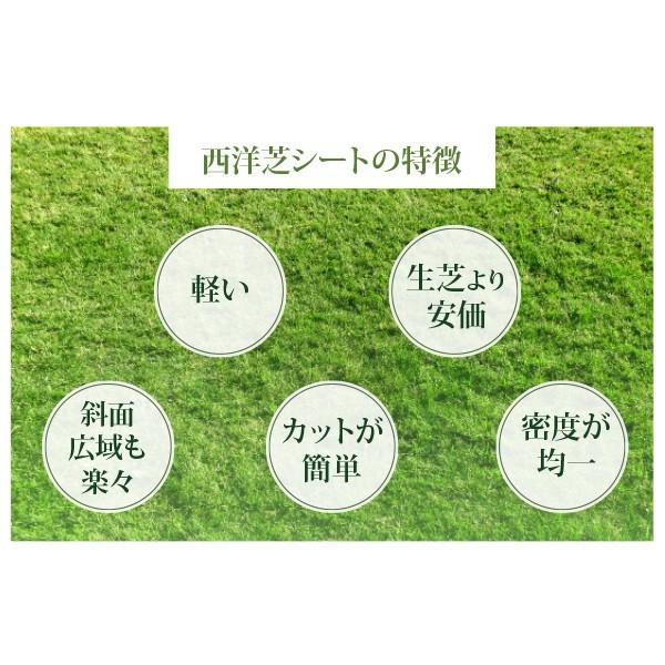 安く天然芝にしたいなら！ぴたっと貼るだけ！西洋芝シート（1m×1m 