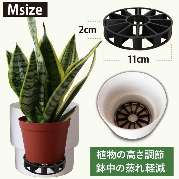 観葉植物の苗 購入者限定！］鉢の底上げパーツ【Mサイズ】 4号以上