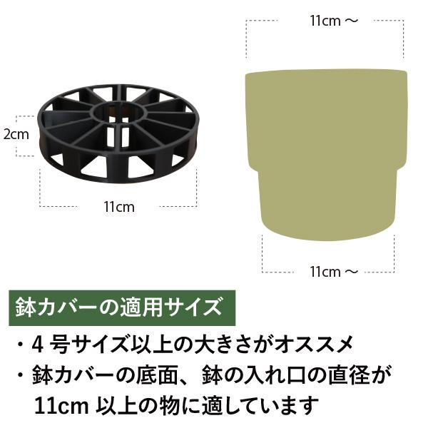 超逸品。フェイジョア1.6M(鉢底から)品番C フェイジョア鉢植え(つぼ型鉢) | 福岡県朝倉市 | ふるさと納税サイト