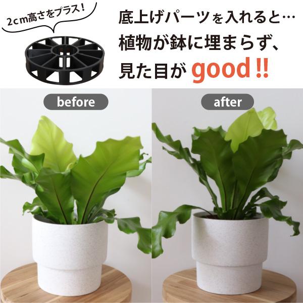 観葉植物の苗 購入者限定！］鉢の底上げパーツ【Mサイズ】 4号以上