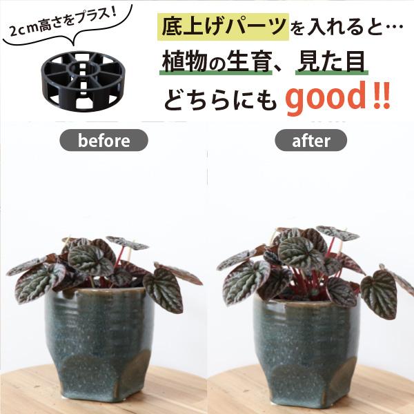 観葉植物の苗 購入者限定！］鉢の底上げパーツ【Sサイズ】 3号以上