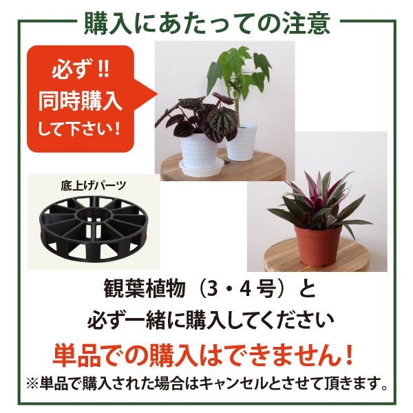 観葉植物の苗 購入者限定！］鉢の底上げパーツ【Sサイズ】 3号以上