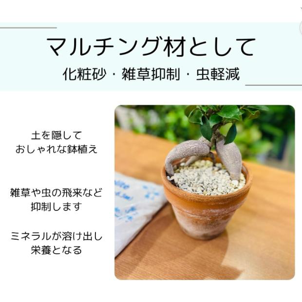 多肉植物栽培セット ドライガーデン・多肉の土16L(8Lx2個セット)+
