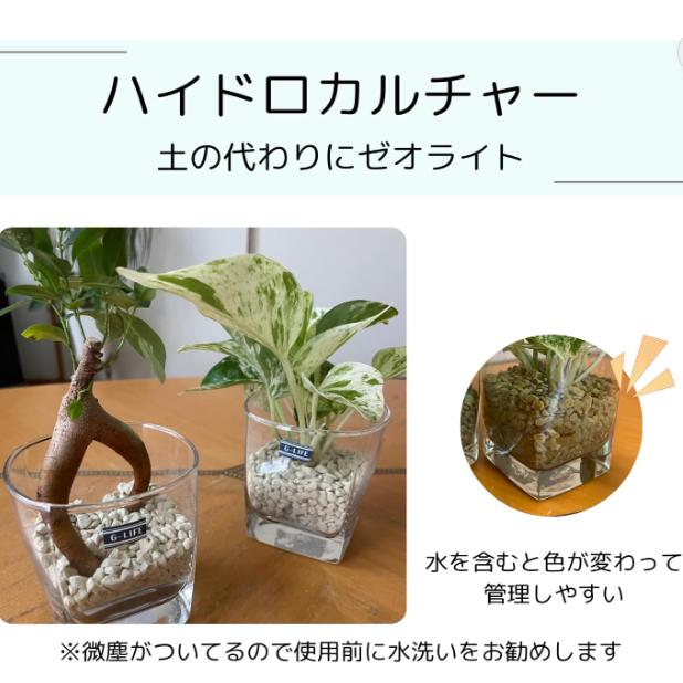 多肉植物栽培セット ドライガーデン・多肉の土16L(8Lx2個セット)+