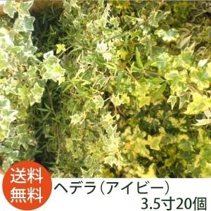 売れ筋 あす楽対応 M9S3DNE8NEL [M9S3DNE8NEL]