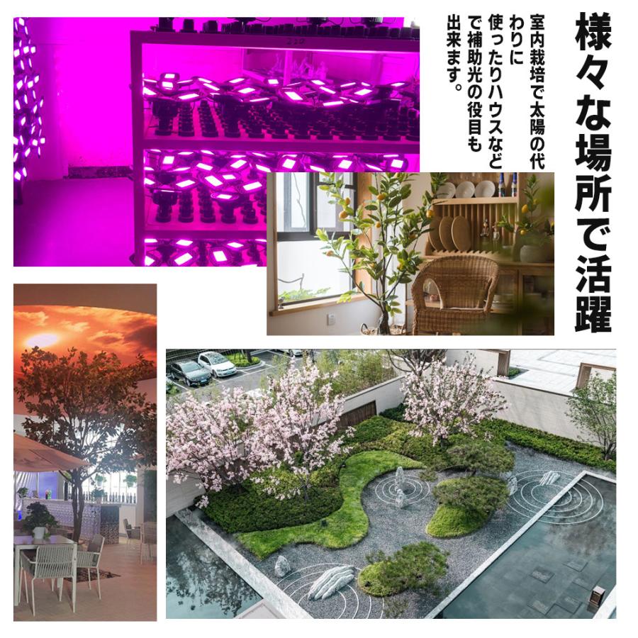 81EHq6OKPIL._AC_UF350,