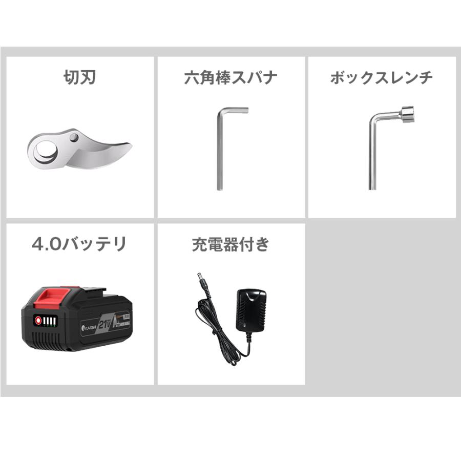 剪定ハサミ 剪定ばさみ 充電式 電動高枝切りバサミ 電動ハサミ 剪定鋏 切断直径30mm バッテリー1個付 電動工具 PSE認証 収納ケース付き 庭木/枝切り/果樹用｜sorastore｜16