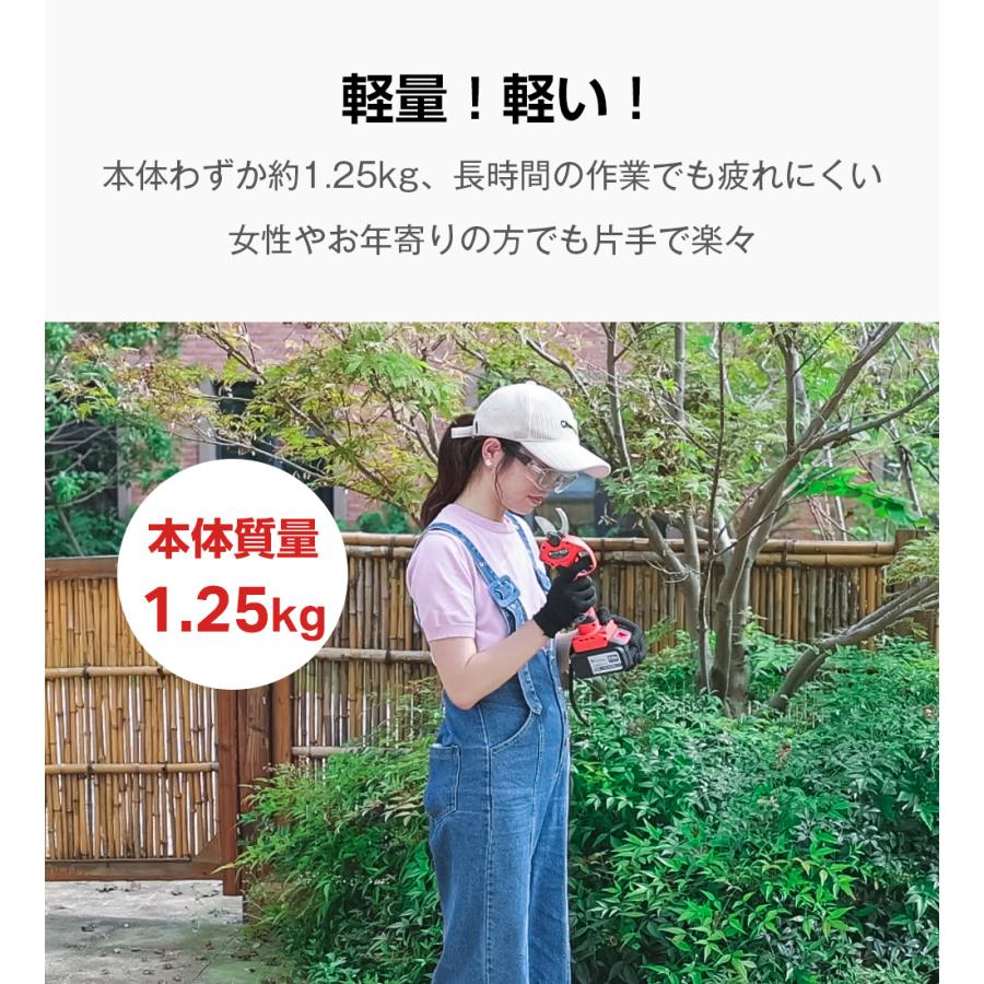 剪定ハサミ 大容量10段バッテリー 剪定ばさみ 充電式 電動高枝切り
