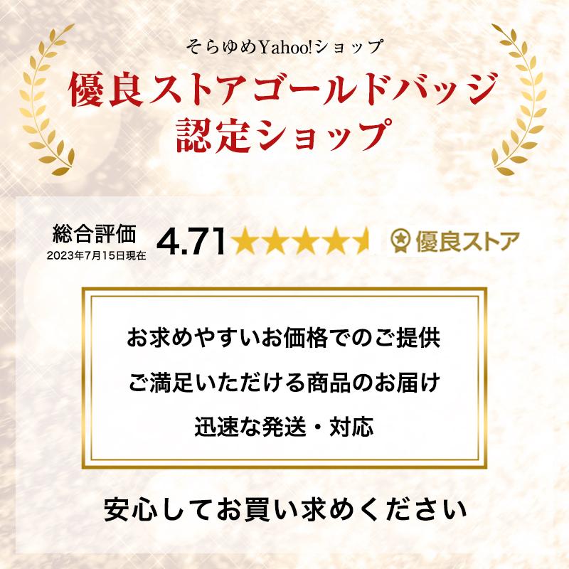 トラベルポーチ ６点セット  圧縮 旅行ポーチ 化粧 コスメ 小物 下着 シューズ バッグ くすみ パッキング 便利グッズ｜sorayume｜08