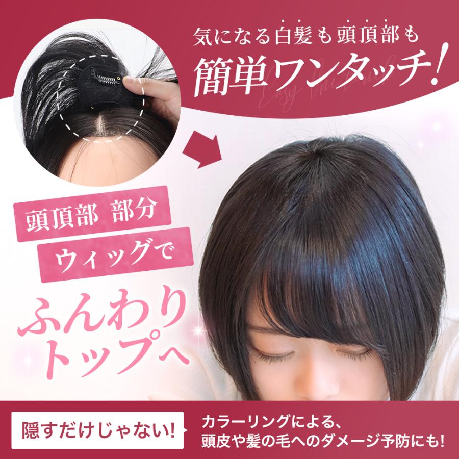 部分ウイッグ 頭頂部 薄毛 かつら女性 増毛 白髪 自然 部分 ウィッグ ヘアピース 外出 脱毛 治療 ブラック ブラウン 40代 50代 60代  レディースアクセサリー