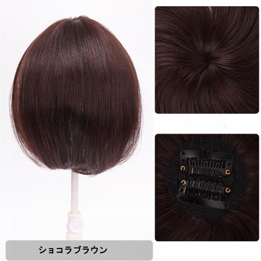 部分 ウィッグ トップ 頭頂部 薄毛 白髪 分け目 セミロング 25cm 部分 ウィッグ トップ 頭頂部 薄毛 白髪 分け目 セミロング 25cm