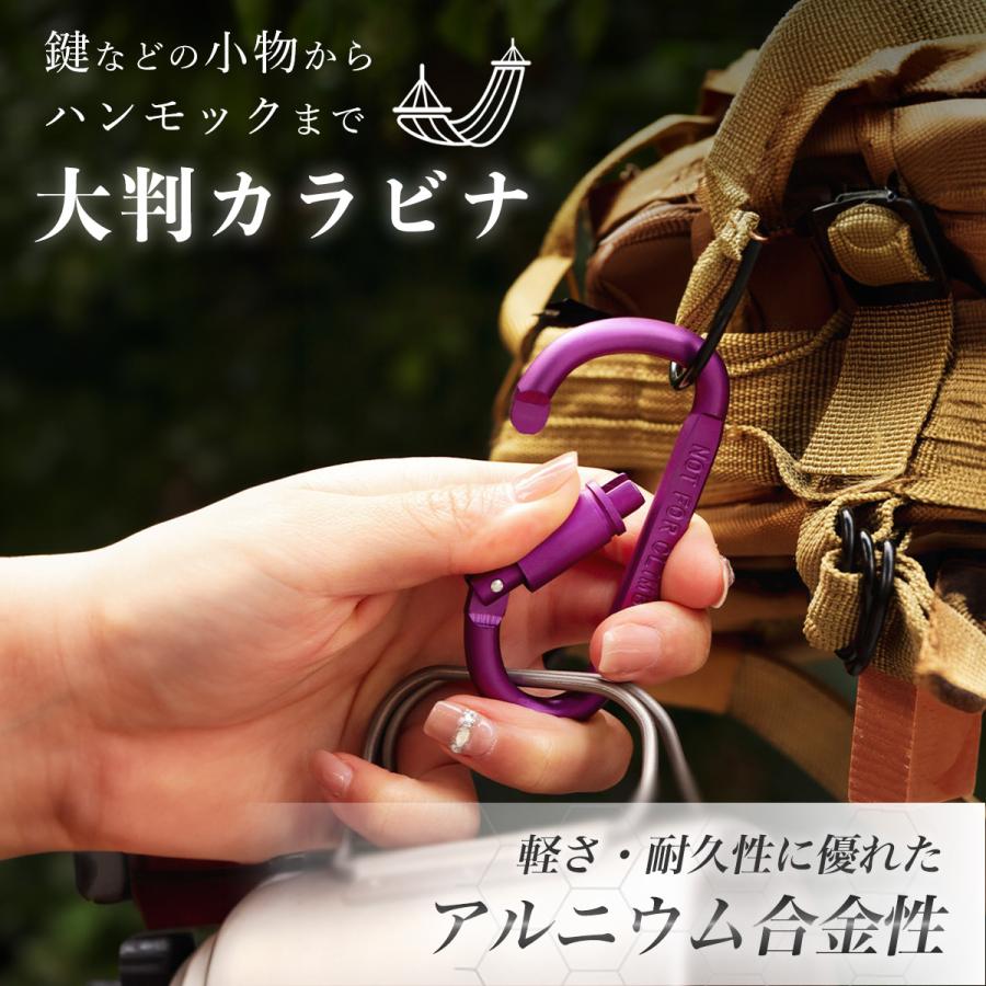 カラビナ フック ロック付き 10個 セット D型 キーホルダー 大きめ