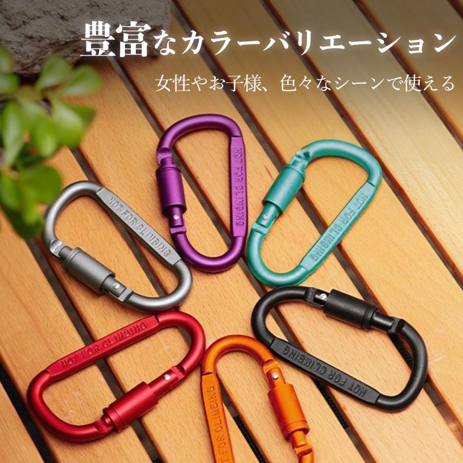 カラビナ フック ロック付き 10個 セット D型 キーホルダー 大きめ