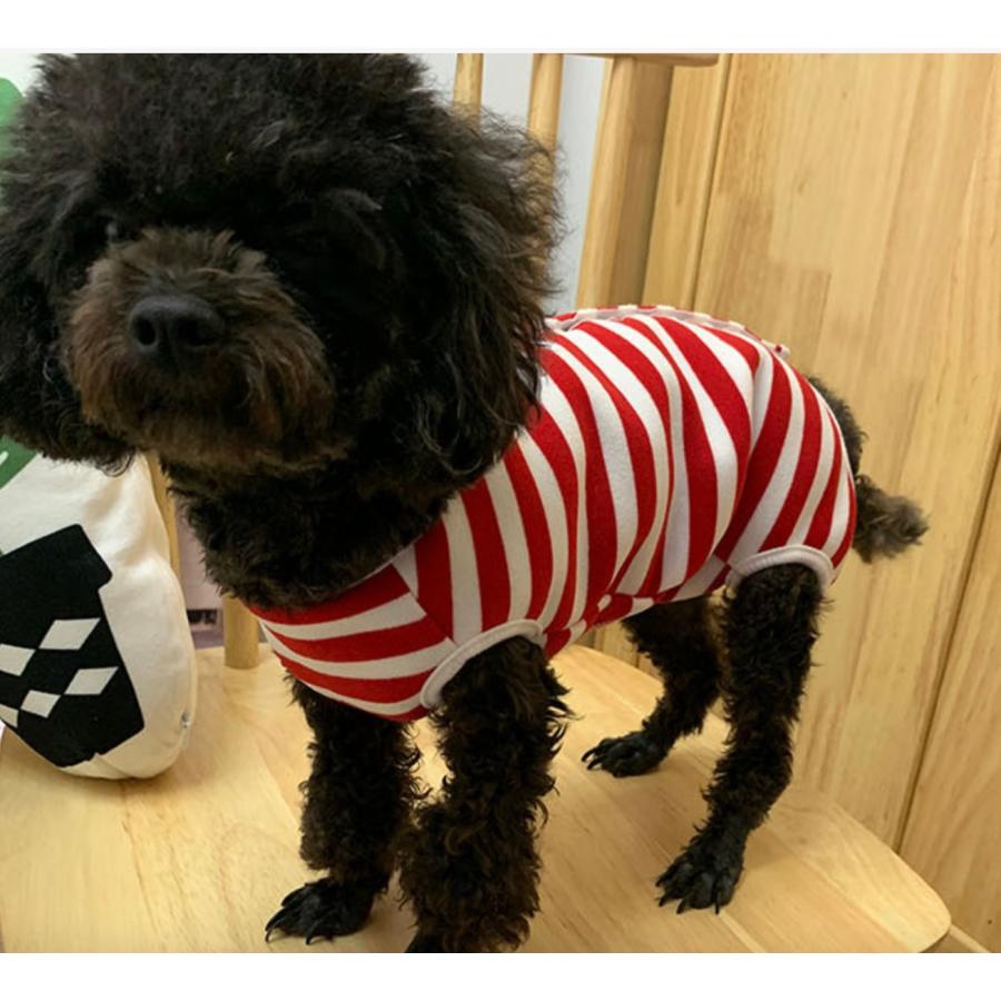 ペット術後服 小型犬 中型犬 猫 犬猫用ウェア エリザベスカラー 術後着 保温 予防 手術 皮膚病 保護服 傷口保護 皮膚 保護 かわいい :P0018:そらゆめYahoo!ショップ - 通販 - Yahoo!ショッピング ペット術後服 小型犬 中型犬 猫 犬猫用ウェア エリザベスカラー 術後着 保温 予防 手術 皮膚病 保護服 傷口保護 皮膚 保護 かわいい :P0018:そらゆめYahoo!ショップ - 通販 - Yahoo!ショッピング