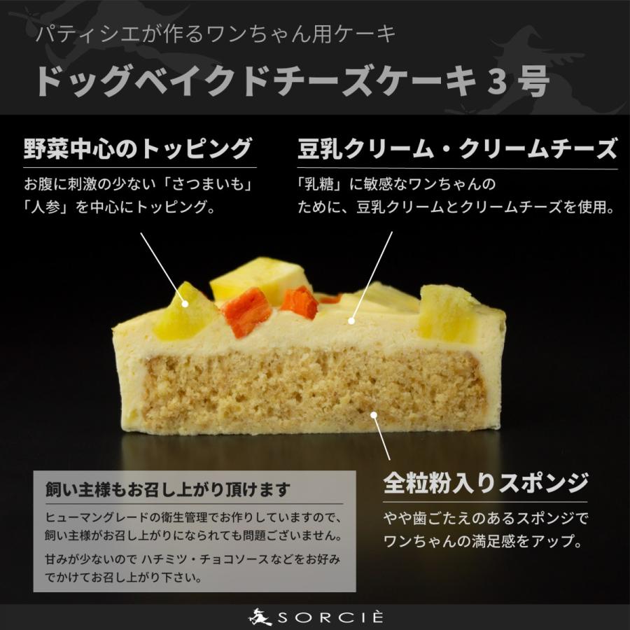 犬 ケーキ ベイクド チーズケーキ 3号 ボーン クッキー 4枚入 「選べる飾り: クリスマスケーキ バースデーケーキ 」 誕生日ケーキ 犬ケーキ わんちゃんケーキ｜sorcie｜04