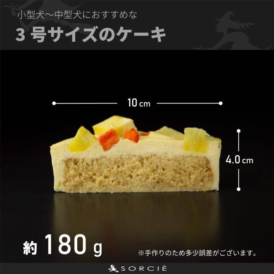 犬 ケーキ ベイクド チーズケーキ 3号 ボーン クッキー 4枚入 「選べる飾り: クリスマスケーキ バースデーケーキ 」 誕生日ケーキ 犬ケーキ わんちゃんケーキ｜sorcie｜05