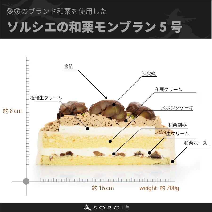 クリスマスケーキ飾り１２５個５個種類各25個 145123-104-