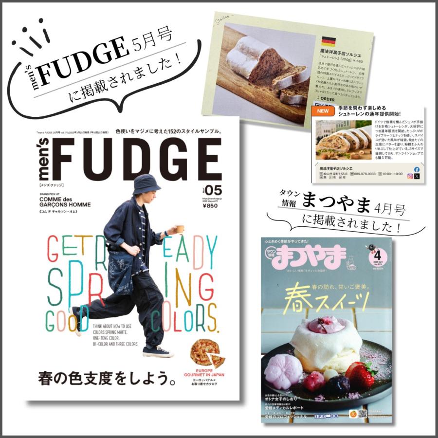 ドイツ伝統菓子 シュトーレン シュトレン ミニ200g 本場 スイーツ