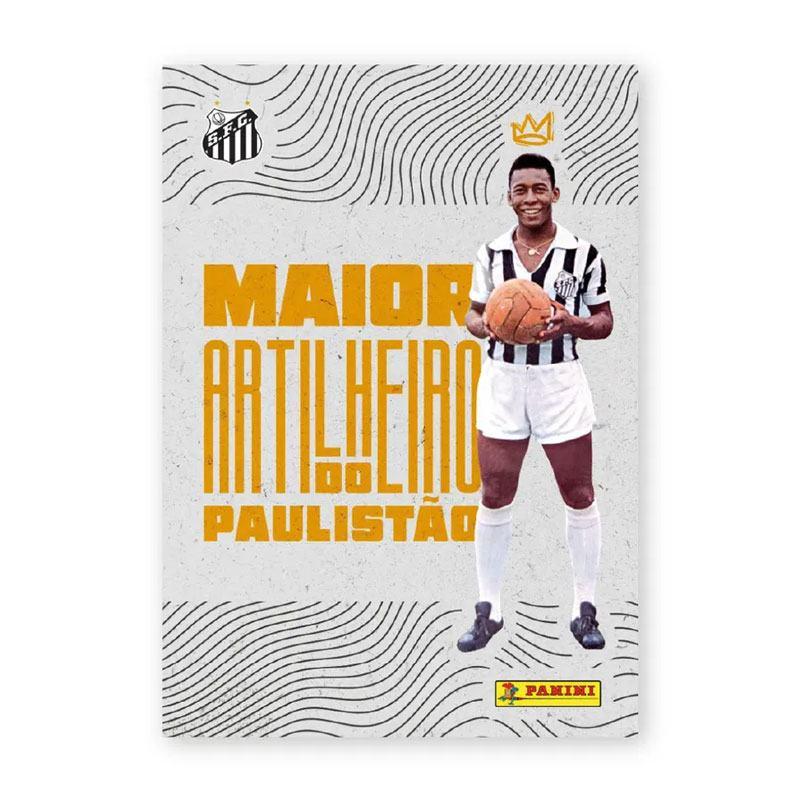 サントスFC パニーニ PANINI ブラジルサッカーカード 40枚 王様ペレの 