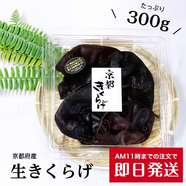緊急入荷/京都産きくらげ 京都きくらげ 300g 国産 無農薬 ビタミンD 生きくらげ :kikurage001:京都 新日本製薬株式会社 ヤフー店 - 通販 - Yahoo!ショッピング 緊急入荷/京都産きくらげ 京都きくらげ 300g 国産 無農薬 ビタミンD 生きくらげ :kikurage001:京都 新日本製薬株式会社 ヤフー店 - 通販 - Yahoo!ショッピング